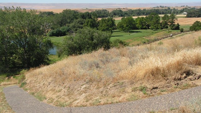 A sidewalk trail winds down a hill, in the background are dark green trees and grass fields